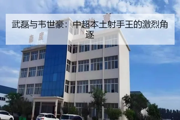 武磊与韦世豪:中超本土射手王的激烈角逐