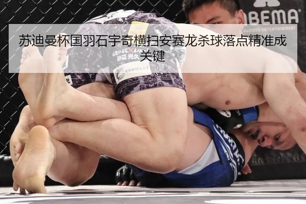 su-di-man-bei-guo-yu-shi-yu-qi-heng-sao-an-sai-long-sha-qiu-luo-dian-jing-zhun-cheng-guan-jian-3-809.jpg